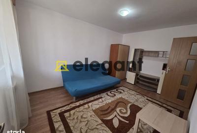 Garsonieră semidecomandată, mobilată în Valea Rosie - 4