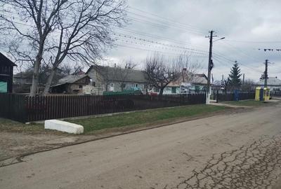 Casă cu Teren 3976 Mp în Dumbrăvița - 1