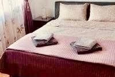 Apartament cu 2 camere semidecomandat, mobilat în Mihai Bravu - 3