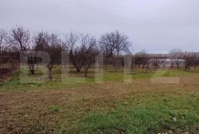 Teren de 2497 mp, în Turda - 7