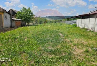 Teren Construcții intravilan de 1186 mp, în Ineu - 10