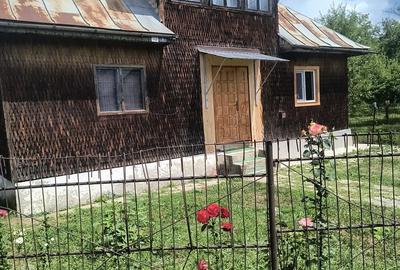 Vand casa cu mansarda ?i livada cu meri la poalele muntelui Leaota - 4