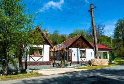 Casă individuală cu 3 camere cu Teren 1800 Mp în Săvârșin - 1