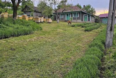 Casă cu 2 camere cu Teren 5000 Mp în Roșu - 2
