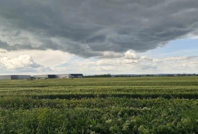 Teren de 5000 mp, în Vest