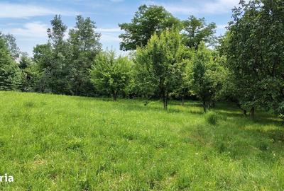 Teren de 3159 mp, în Galmeia - 1