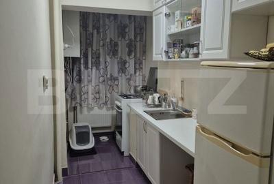 Garsonieră, mobilată în Tudor - 2