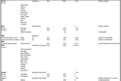 Spațiu comercial, în Bălteni - 1