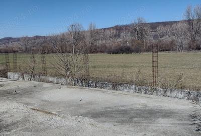 Teren de 20000 mp, în Valea Ursului (Tâmna) - 4