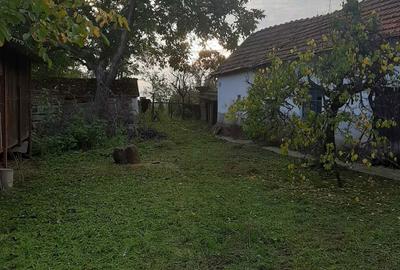 Casă cu 2 camere în Mișca - 1