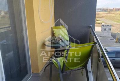 Apartament cu 2 camere decomandat, mobilat în Elisabetin - 10
