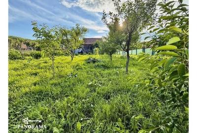 Casă tradițională la țară, în Dârlos - 15