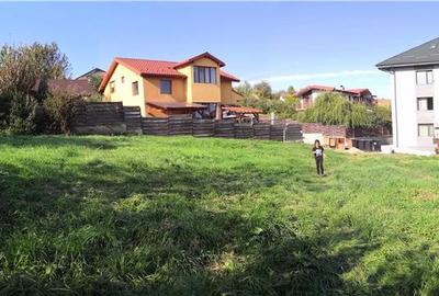 Teren de 650 mp, în Vișani - 2