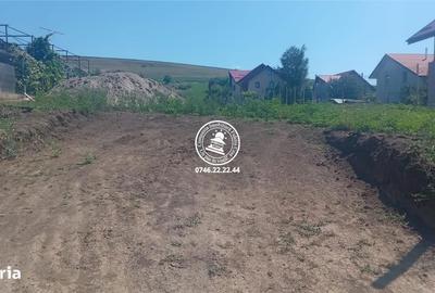 Teren de 4467 mp, în Lețcani - 1