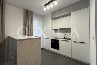 Apartament cu 3 camere semidecomandat, mobilat în Lipovei - 11