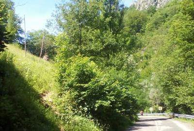 Spațiu comercial, în Central - 3