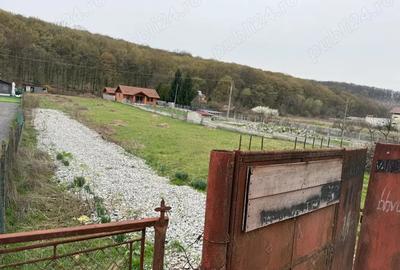Teren de 3258 mp, în Hidiș - 4