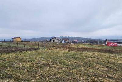 Teren de 656 mp, în Tomești - 3