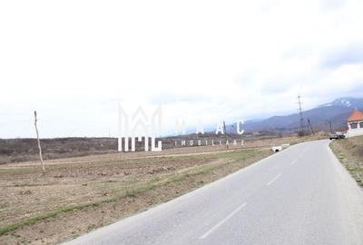 Teren agricol intravilan de 5390 mp, în Racovița - 6