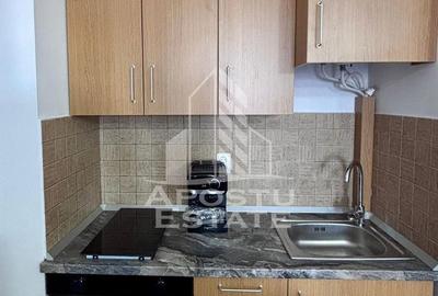 Apartament cu 2 camere în Șega - 6