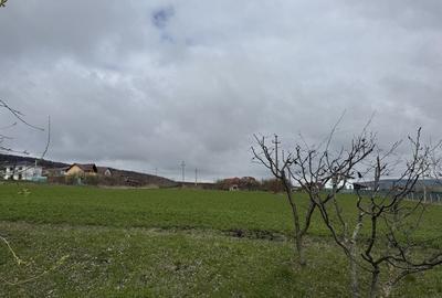 Spațiu comercial, în Iris - 1