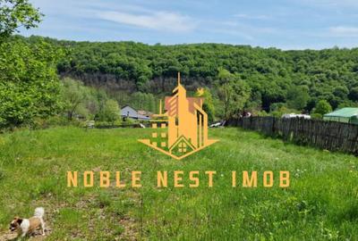 Teren extravilan 2200 mp - Budeasa Mica, Arge?, COMISION 0. - 9