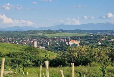 Teren de 1500 mp, în Central - 2