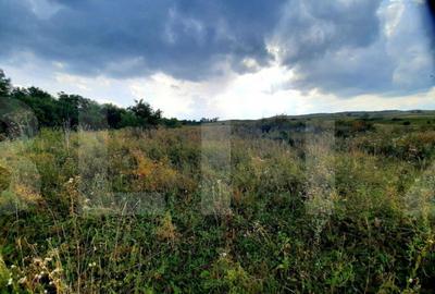 Teren intravilan de 5800 mp, situat in Padureni - 6