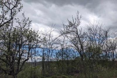Teren 1130 mp Satul Malu Mierii, comuna Glodeni, Dambovita - 2