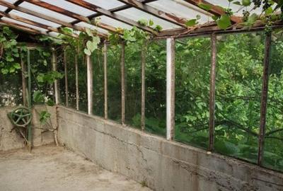 Casa la tara de vanzare in Sitaru, teren de 675 mp, suprafa - 7