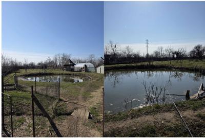 Casă cu 4 camere cu Teren 2579 Mp în Colanu - 3