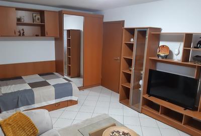 Garsonieră decomandată, mobilată în Banu Manta - 4