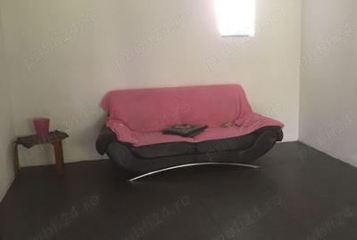 Proprietar ofera casa de vanzare ?i spa?iu comercial - 7
