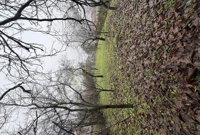 Se vinde casa parinteasca sat. Vechea com. Chinteni - 4