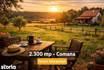 Teren de 2300 mp, în Comana - 1