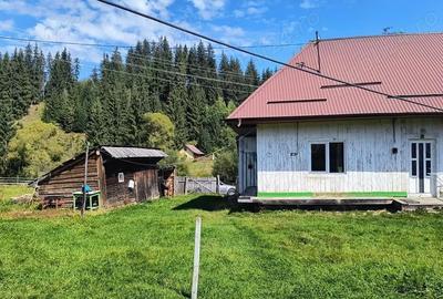 Casă cu 3 camere cu Teren 3000 Mp în Central - 4