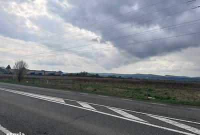 Spațiu comercial, în Ernei - 4