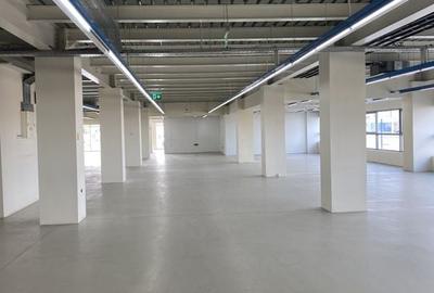 SPATIU INDUSTRIAL SHOWROOM - depozit cu showroom Cal. Grivitei - 2