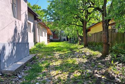 CASA SI LIVADA/ZONA DE DEALURI IMPADURITE/VALEA SCHEII/MANGA/VOINESTI/DAMBOVITA - 4