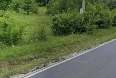 Teren extravilan de 4300 mp, în Eșelnița - 3