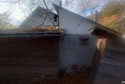 Vand casa batraneasca - 5