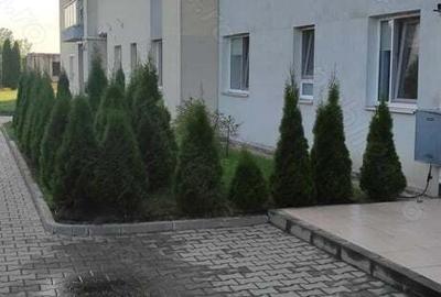 Apartament cu 2 camere decomandat în Băneasa - 9
