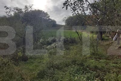 Casa de vanzare, 3 camere, 4663 mp teren, CF, Sat Barai - 6