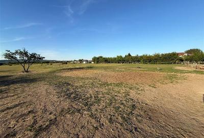 Teren intravilan de 760 mp, în Oșorhei - 3