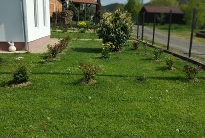 Casă individuală cu 2 camere cu Teren 3500 Mp în Calea Caransebeșului - 6