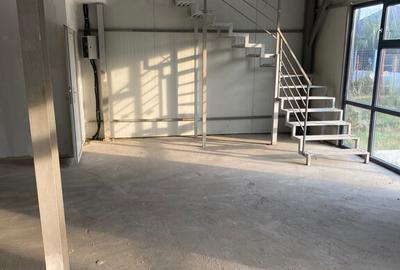 Hala Metalica Spa?iu Comercial Sud Bolintin Vale Giurgiu - 4