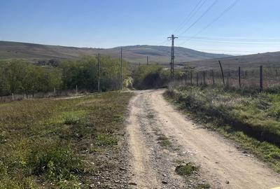 Teren de 1000 mp, în Central - 2