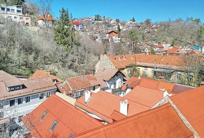 Cladire Ultracentral, multifunctionala - 18