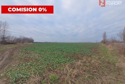 Teren agricol extravilan de 213257 mp, în Sud - 20