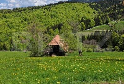 Teren intravilan 3400 mp, in Balaban - Simon, Bran - Brasov - 6